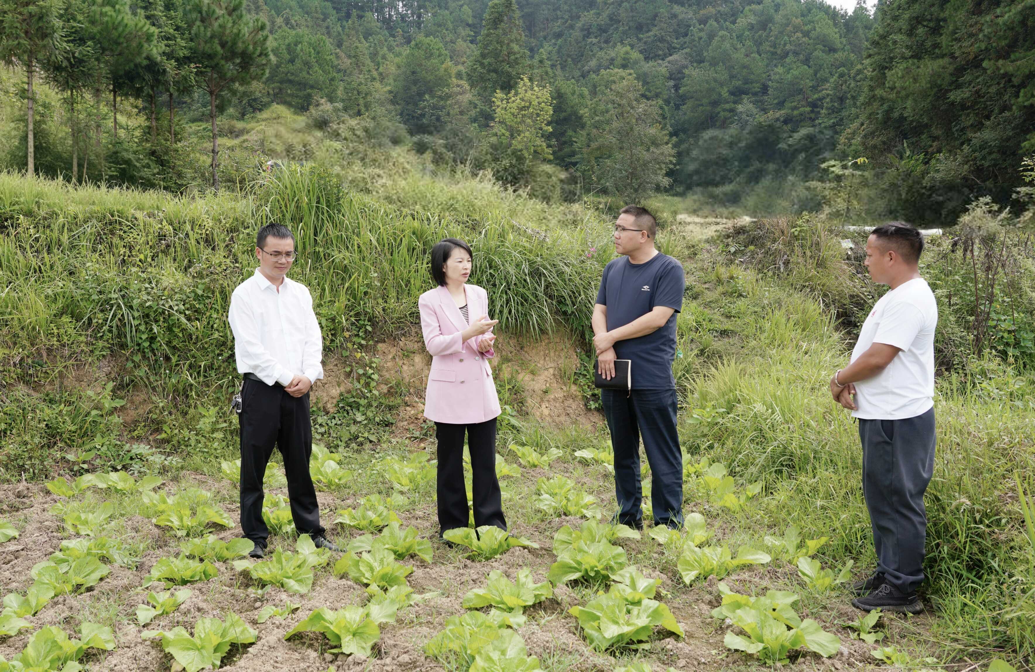 张登利到扬武镇调研